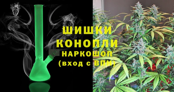ПСИЛОЦИБИНОВЫЕ ГРИБЫ Кулебаки