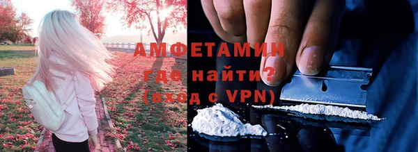 ПСИЛОЦИБИНОВЫЕ ГРИБЫ Кулебаки