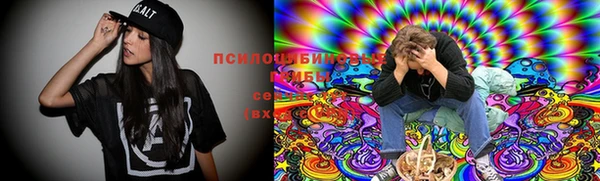 прущая мука Кукмор