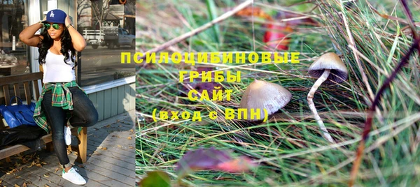 прущая мука Кукмор
