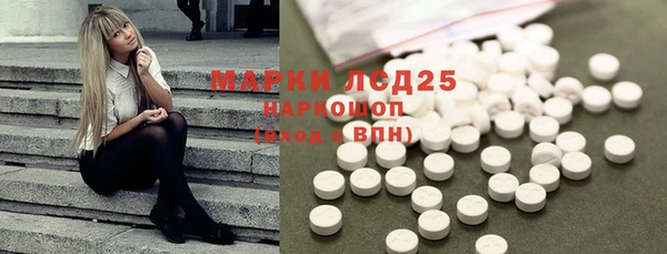 ПСИЛОЦИБИНОВЫЕ ГРИБЫ Кулебаки
